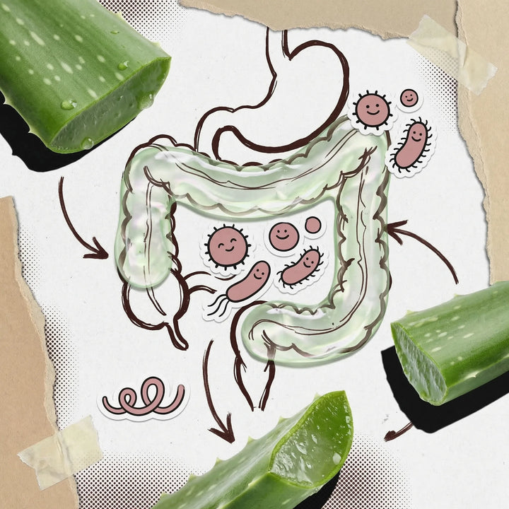 Aloe Vera Extract