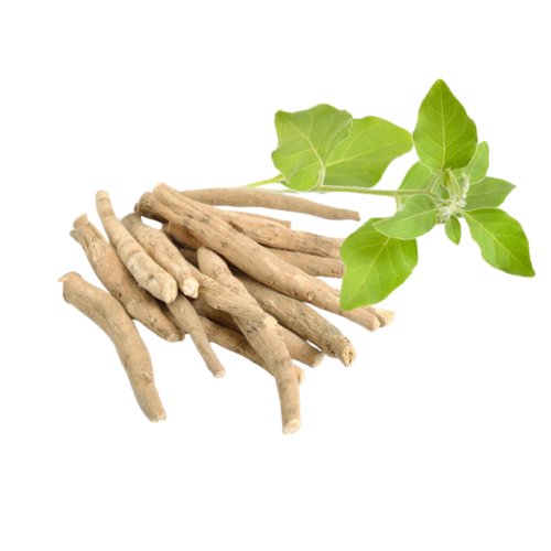 Ashwagandha and rosemary — adaptogenic and digestive herbs in Anothr drinks