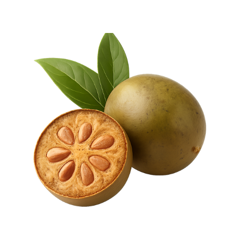 Monk fruit sweetener — natural zero-calorie sweetener used in Anothr drinks