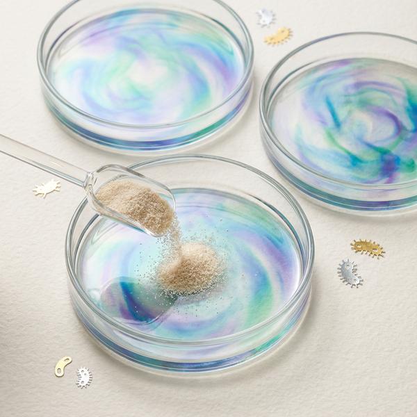 Fibre is the Real MVP of Nutrition. Here’s Why.