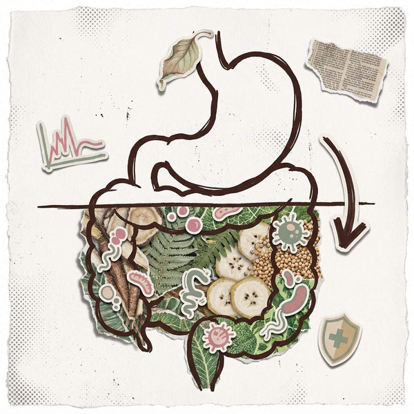 Why Most Indians Don't Get Enough Fibre